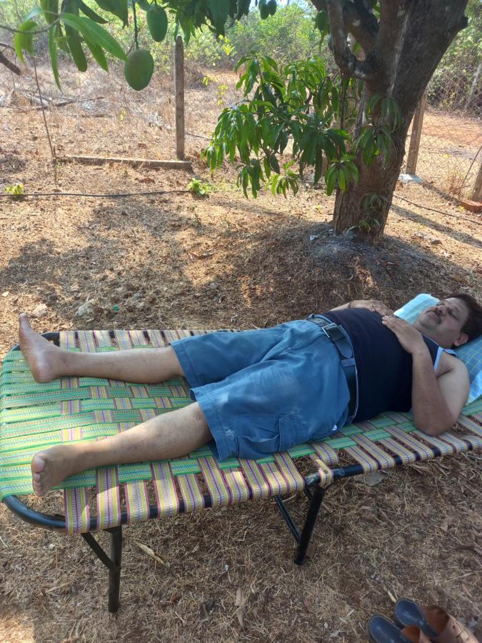 Misty Woods Eco Cottages Harihareshwar Bagian luar foto